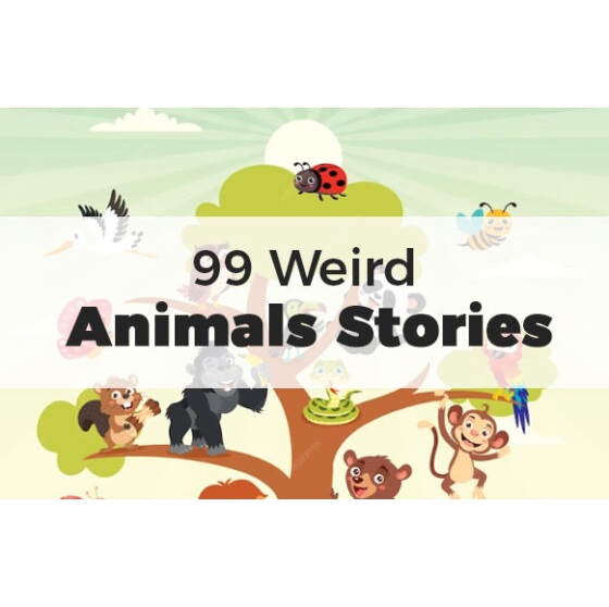 Book Cover 99 Weird Animal Stories
