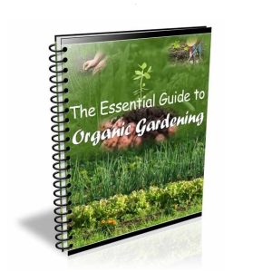 The Essential Guide to Organic Gardening -eBook